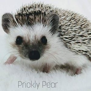 Meet your Posher, Emily